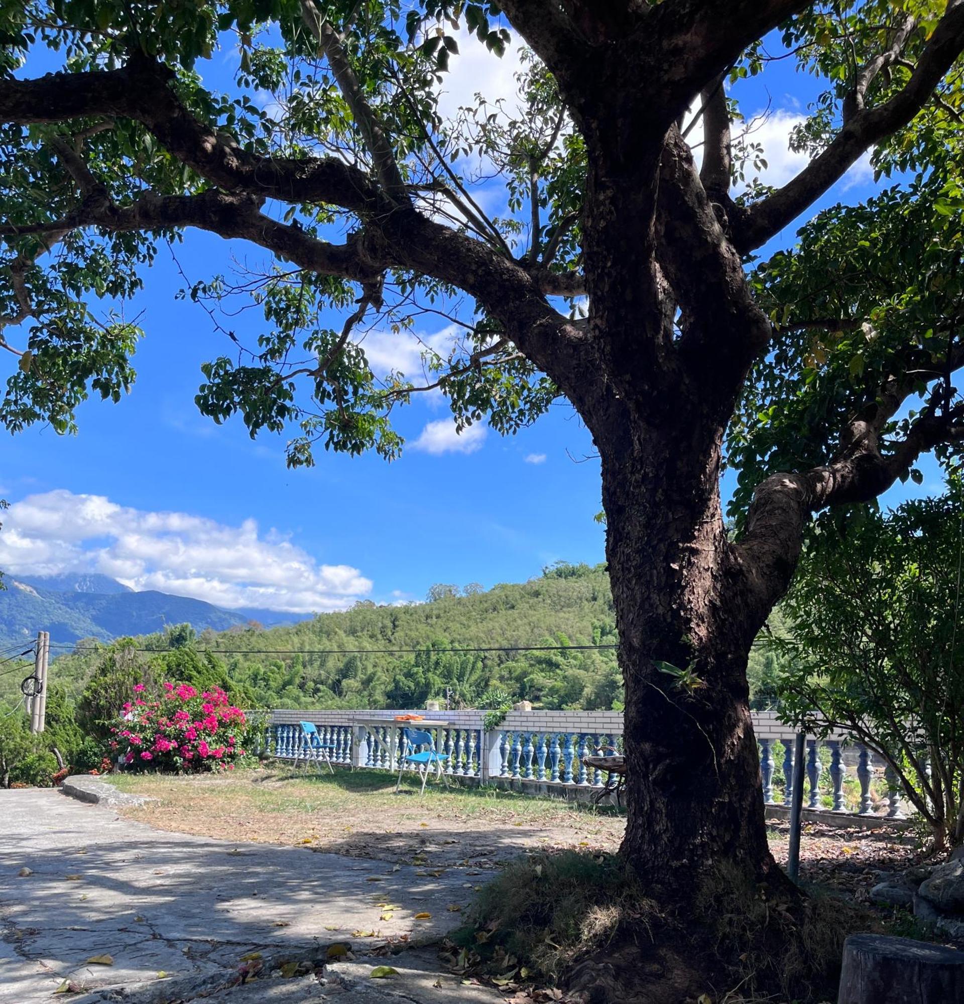 十畝田山莊會館 Hotell Chishang Exteriör bild