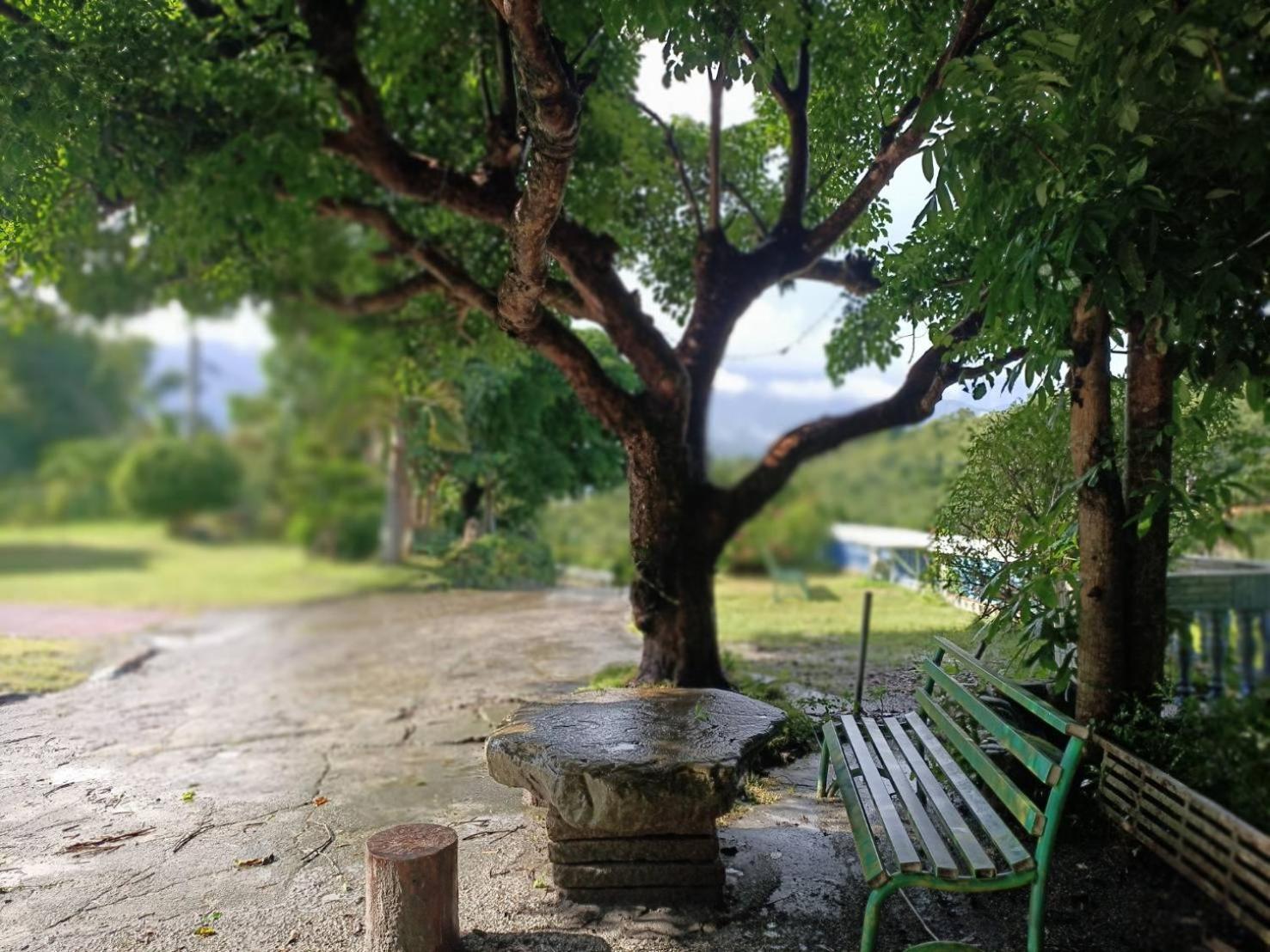 十畝田山莊會館 Hotell Chishang Exteriör bild